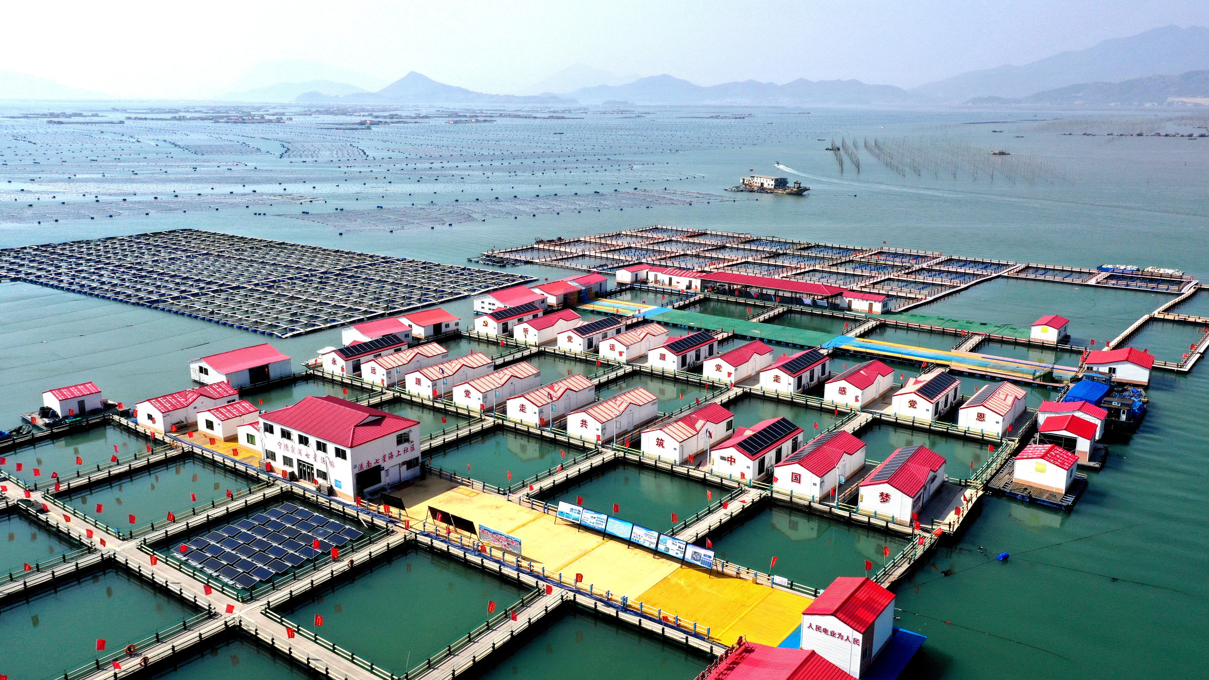 2024年3月20日，福建省寧德市，霞浦縣溪南鎮(zhèn)七星村漁排養(yǎng)殖示范區(qū)，漁民駕駛養(yǎng)殖船進(jìn)行海參養(yǎng)殖作業(yè)。