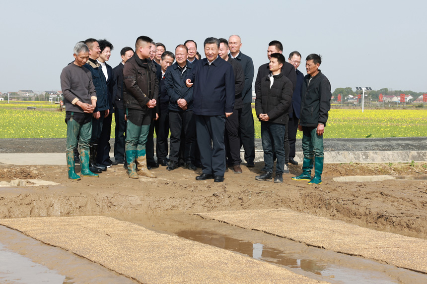 2024年3月18日至21日，中共中央總書(shū)記、國(guó)家主席、中央軍委主席習(xí)近平在湖南考察。這是19日下午，習(xí)近平在常德市鼎城區(qū)謝家鋪鎮(zhèn)港中坪村走進(jìn)田間，察看秧苗培育和春耕備耕進(jìn)展。新華社記者 王曄 攝